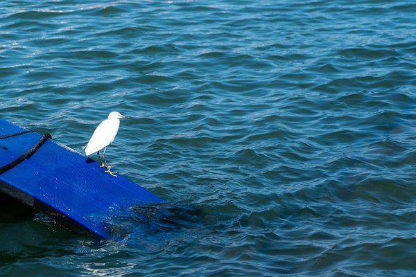 Top Endroits pour Acheter du Matériel Chirurgical de Haute Qualité : Guide des Équipements Essentiels